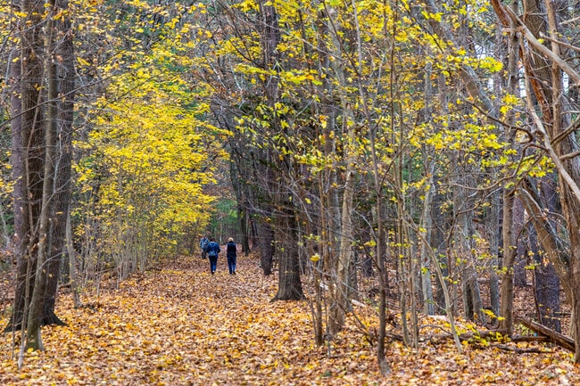 North Tewksbury residents can enjoy walking along the Haggetts Pond Trail nearby.