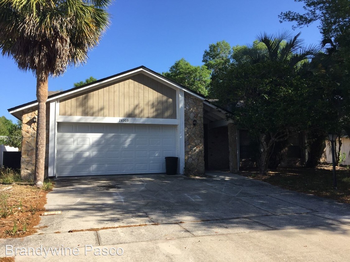 28305 International Ct, Wesley Chapel, FL 33543 House for Rent in