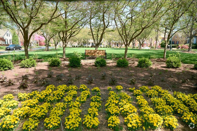 Beautiful landscaping is a feature in North Potomac, Maryland.
