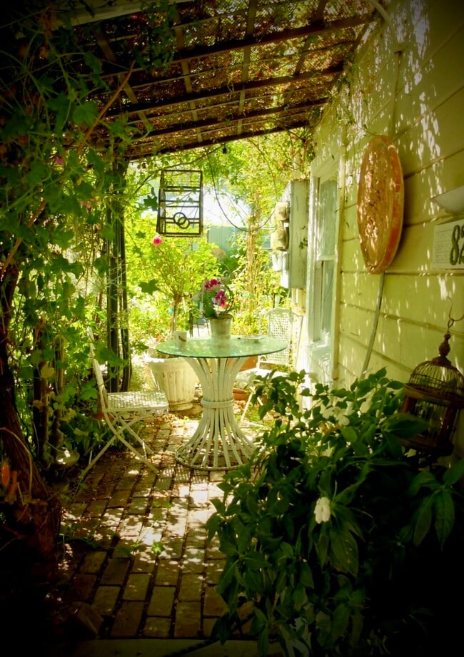 Front Porch with vintage brick floor and vine covered roof - 822 E Kensington Rd