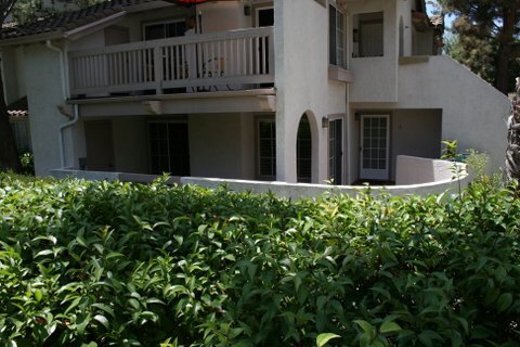 Primary Photo - 24361 Conejo