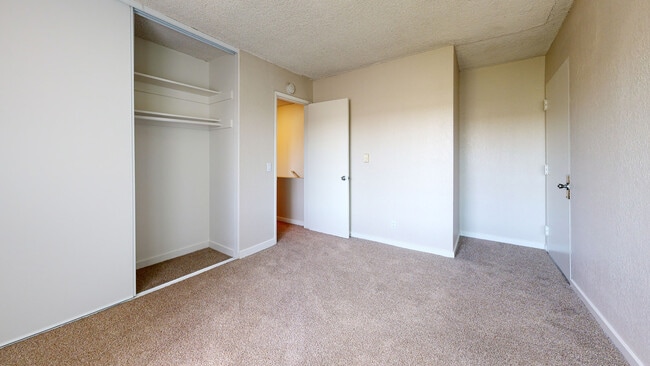 Interior Photo - Rosebeach
