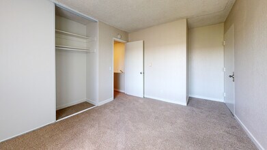 Interior Photo - Rosebeach