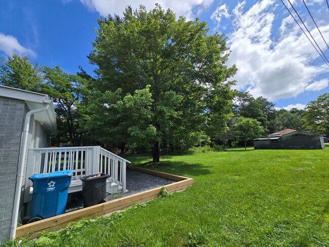 Foto del edificio - Cute Meadowview Bungalow; 3/1.5 Right in T...
