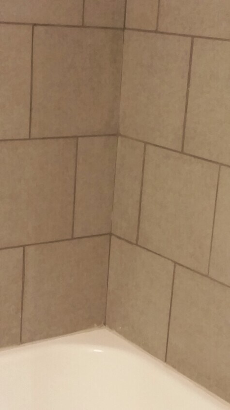 Bathroon - 450 Elmwood Dr