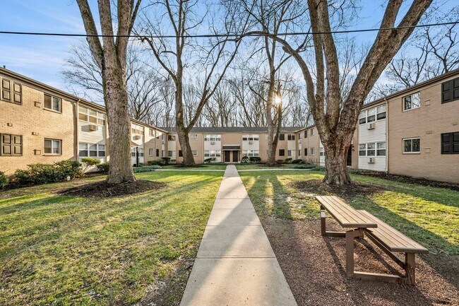 unidad-3-11-1 - Hidden Forest