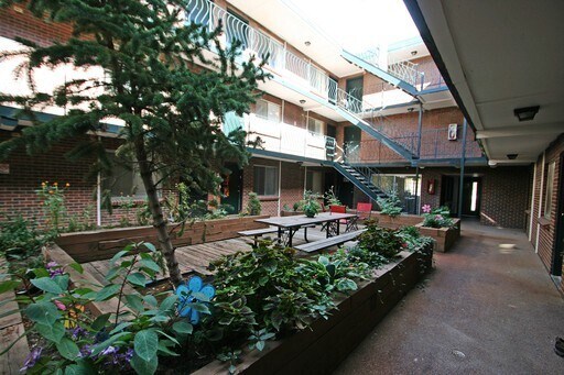 Foto del interior - The Cottonwood