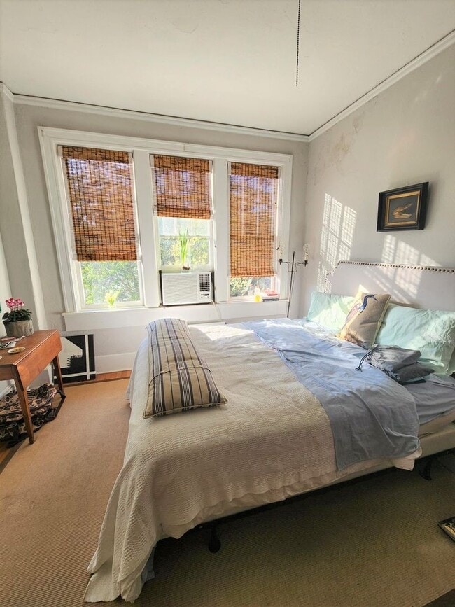 Building Photo - STUDIO DOWNTOWN Rutledge Ave - Available August 1, 2026