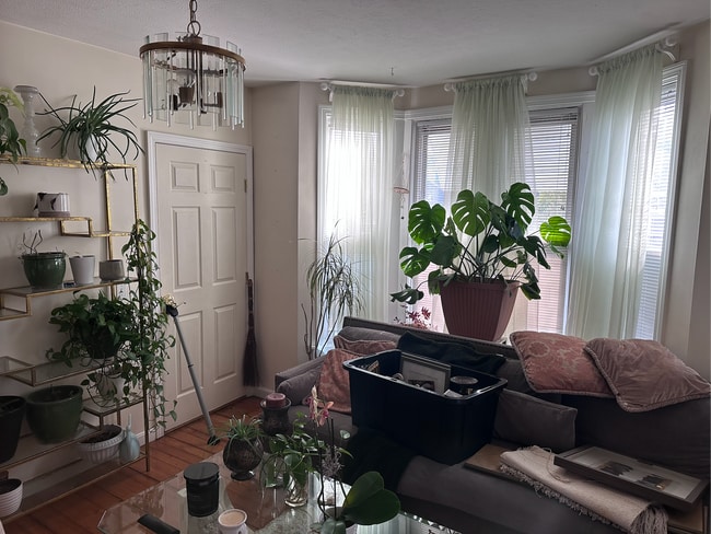 Foto del edificio - 1023 Branch Ave