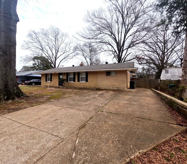 Building Photo - Renovated 4 Bed 1 Bath