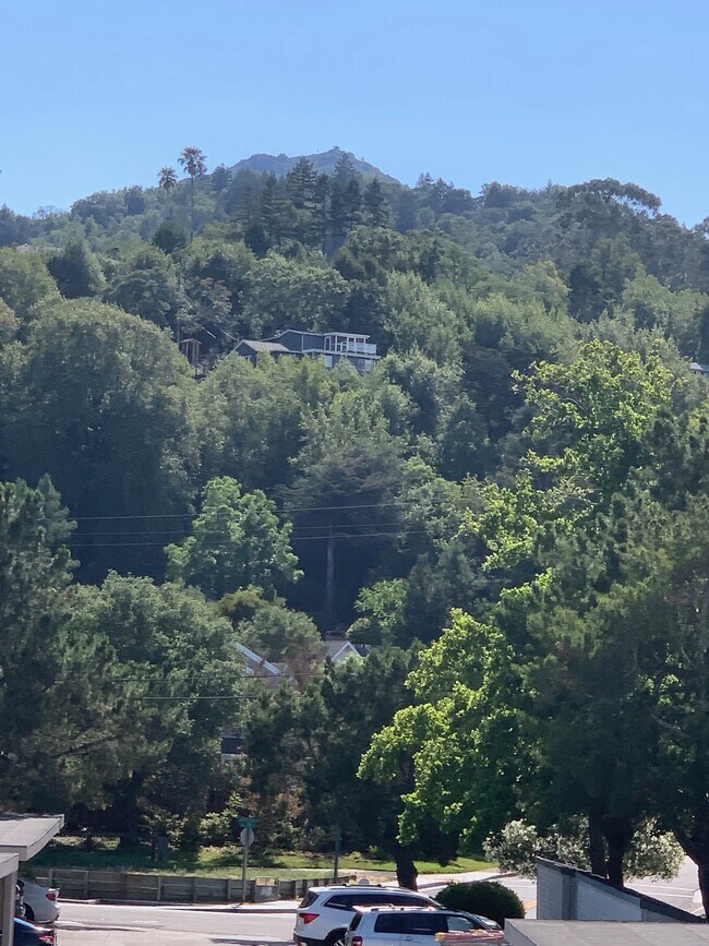 Foto del edificio - 266 Larkspur Plaza Dr