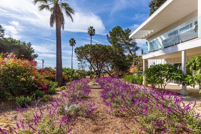 Foto del edificio - 6455 Sycamore Meadows Dr