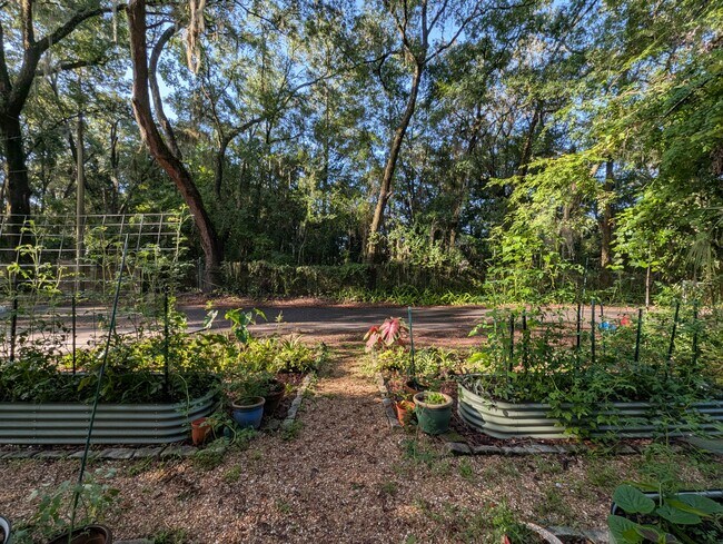Jardín delantero visto desde la casa - 910 NW 29th Pl