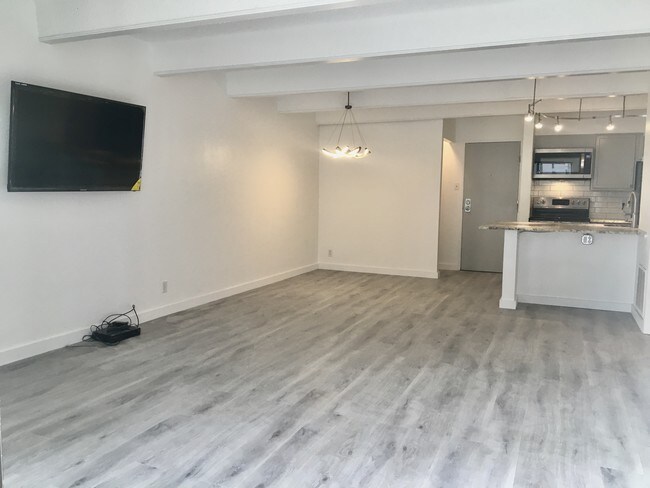 View into unit from patio. Notice 55" TV mounted on wall - 777 N Washington St