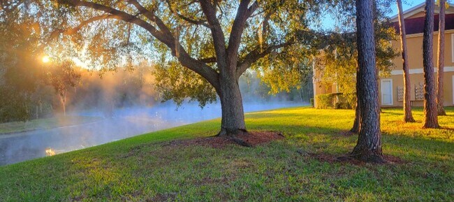 Foto del edificio - 9481 Highland Oak Dr