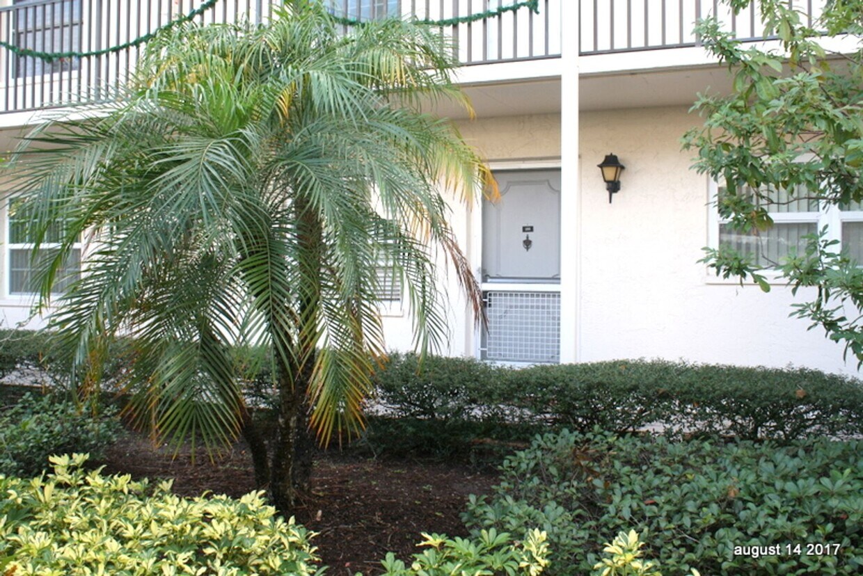 831 Maple Ct, Dunedin, FL 34698 House Rental in Dunedin, FL