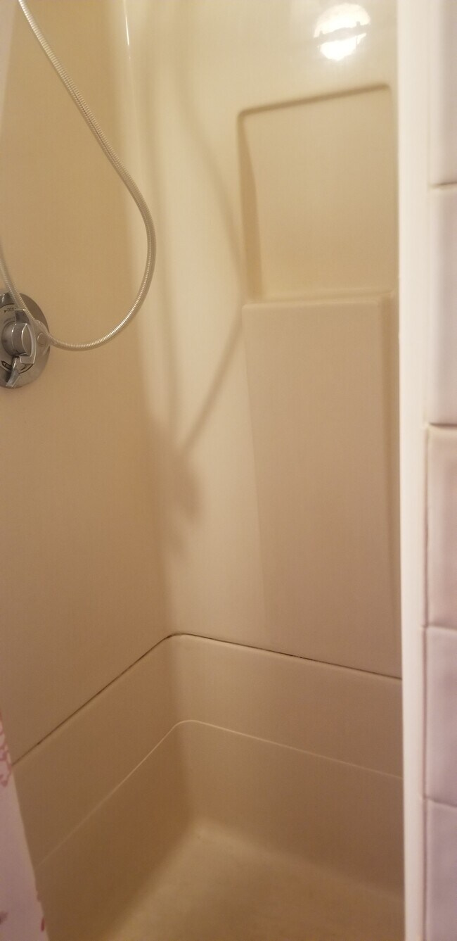 24 Templeton Pky Unit 3, Watertown, MA 02472 Condo for Rent in