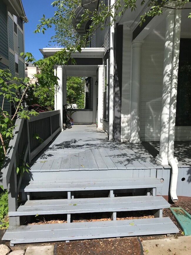 privet entry & porch - 701 Remington St