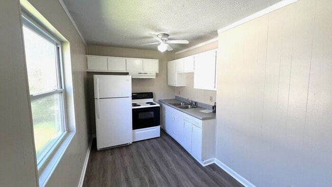 Building Photo - East Nashville! Dead end, low traffic. Wil...