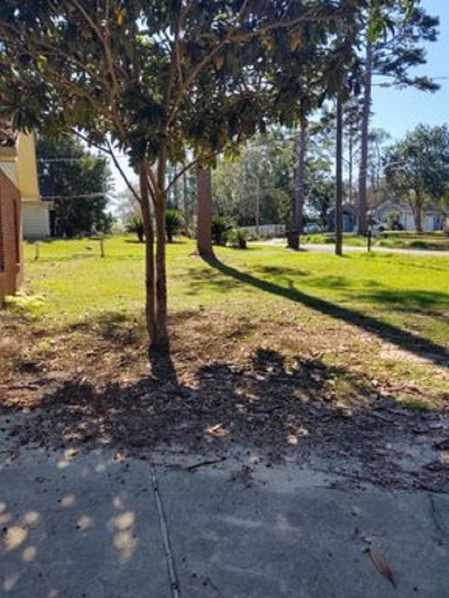 Foto del edificio - 821 Concord Rd