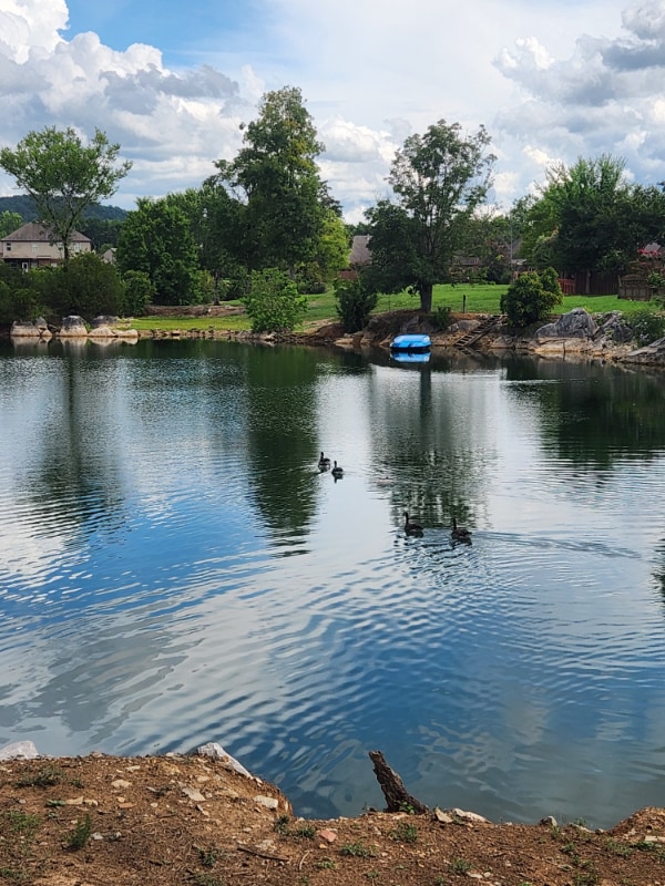 Foto principal - 342 Creekside Ln