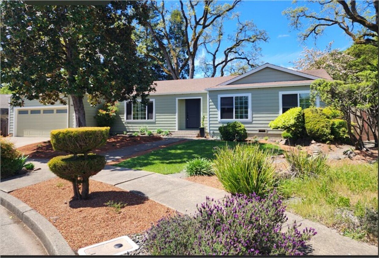 Primary Photo - Lovely Bennett Valley Home in a Cul-De-Sac