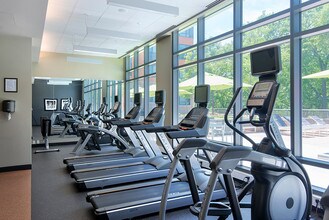 Bell Olmsted Park photo'