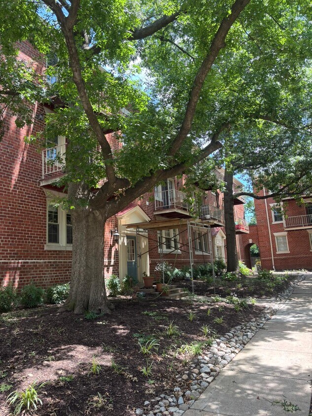Foto del edificio - 1407 E Abingdon Dr