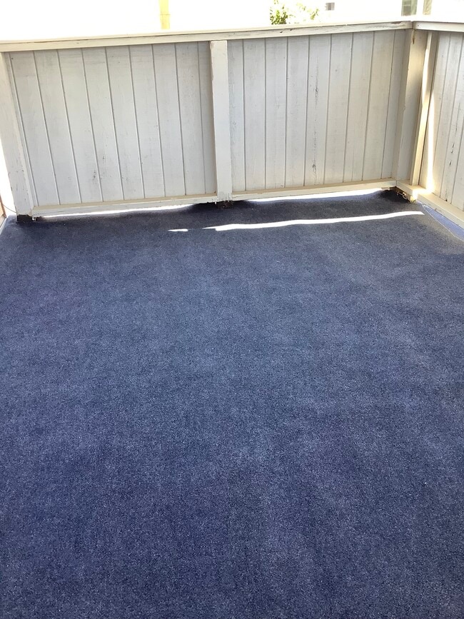 Outside deck - 123 Belmont Ave