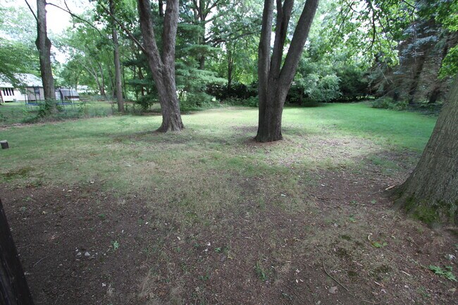 BACK YARD - 7407 Parker Dr