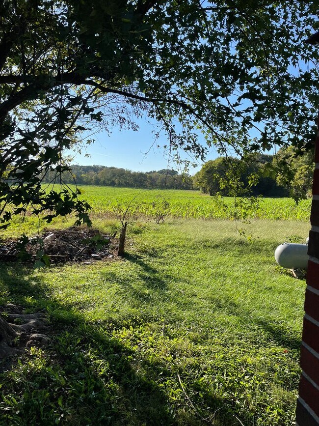 Foto del edificio - 3 bedroom 1 bath brick home in the country...