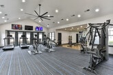 Located at 8520 S Holcomb Bridge Way in Roswell, GA, this fitness center is a comprehensively outfitted single-floor facility designed to support a full range of workout routines. The space features vaulted ceilings that contribute to an open, airy atmosphere, complemented by recessed lighting and a large ceiling fan that keeps the environment comfortable during exercise. Natural light streams in through multiple large windows fitted with roller shades, offering views of the surrounding greenery and creating a bright, welcoming workout environment. The main exercise floor is finished with durable, patterned carpet featuring blue accent stripes, while a designated strength and free-weight area transitions to a hardwood-style flooring surface. Cardio equipment is well-represented, with treadmills, ellipticals, and stationary and spin bikes arranged throughout the space. A multi-station strength machine, weight bench, and a rack of dumbbells and medicine balls round out the strength training options. Floor-to-ceiling mirrors line one wall, enhancing the sense of space and allowing users to monitor their form. Multiple wall-mounted flat-screen TVs are positioned throughout, providing entertainment during workouts. A built-in cubby storage bench beneath the windows offers convenient space for personal belongings. The fitness center connects directly to an adjacent entry corridor with glass-panel doors, ensuring easy access.