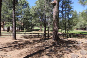 Building Photo - 3417 Roaring Fork Dr