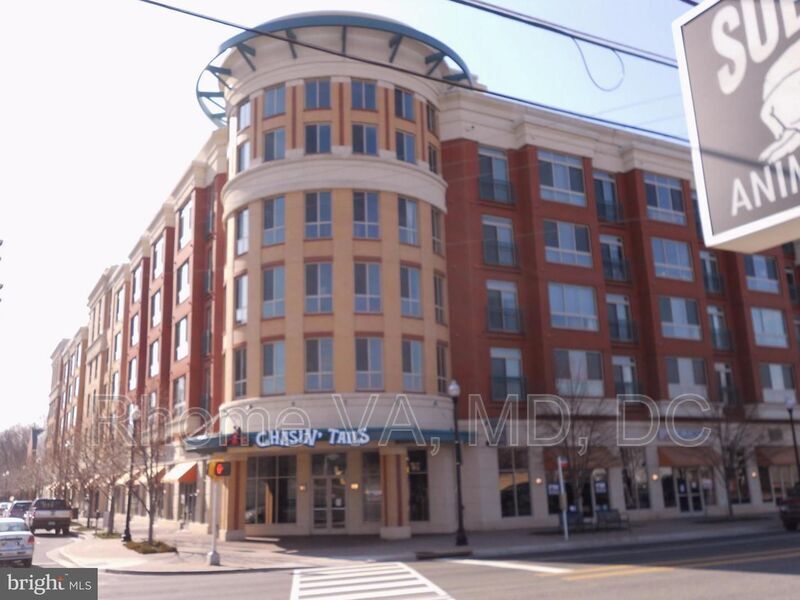 2200 N Westmoreland St Unit 506, Arlington, VA 22213 Condo for Rent