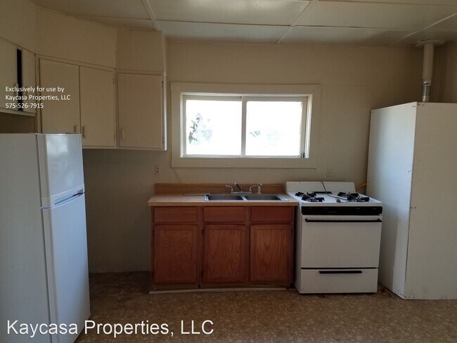 Building Photo - 2 br, 1 bath House - 1125 Mesquite