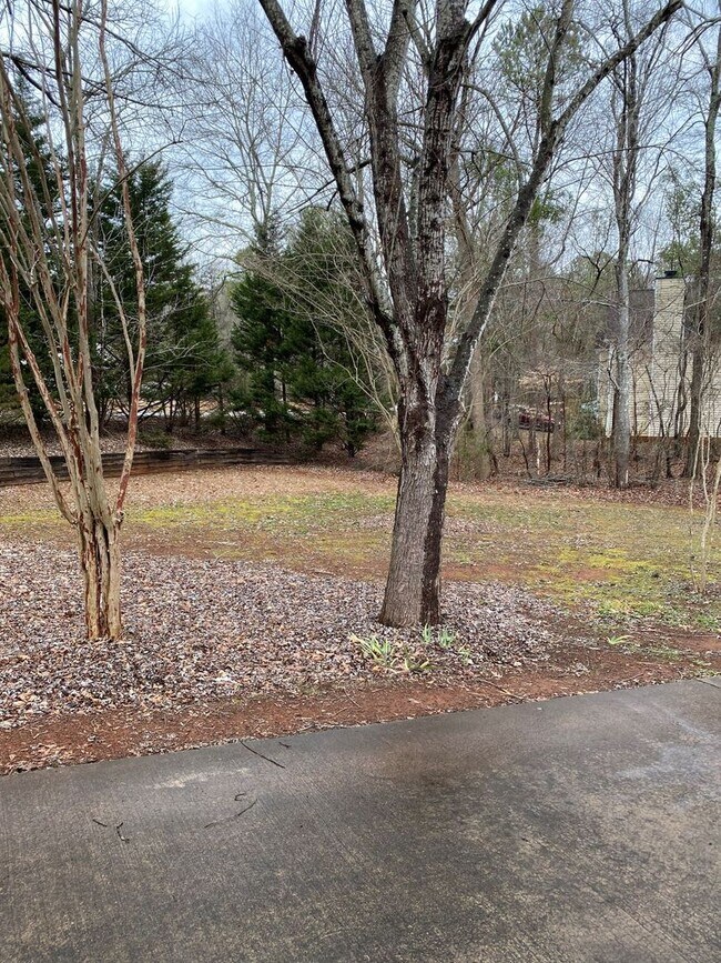 Building Photo - Spacious 3/2 House in Snapfinger!