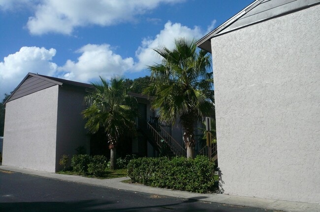 Foto del edificio - Baywatch Apartments- Five Minutes Driving from USF