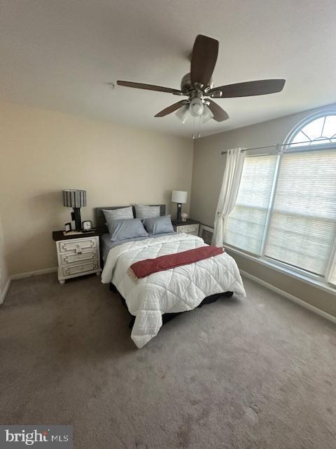 Foto del edificio - 443 Deer Hill Cir
