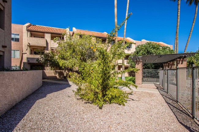 Foto del edificio - 2Br/2Ba, $1495, 101& Rio Salada