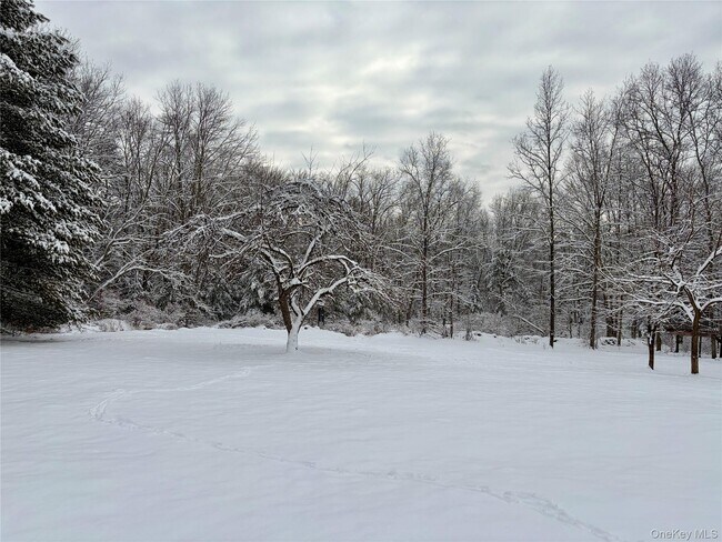 Foto del edificio - 156 Bloom Rd