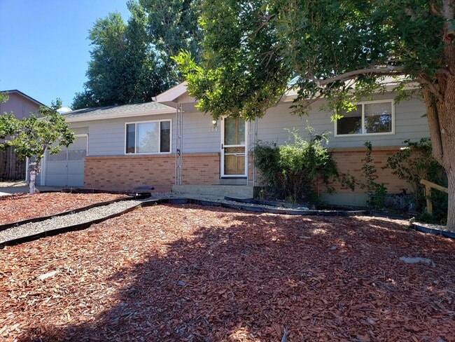 Foto del edificio - Spacious 4BR Ranch in Castle Rock