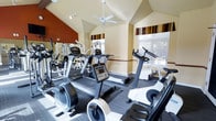 This fitness center is designed to offer a comprehensive workout environment within a bright and well-appointed space. The room features striking vaulted ceilings that lend an open, airy feel, complemented by a ceiling fan that promotes air circulation during workouts. A bold terra-cotta accent wall, paired with decorative striped valances in warm earth tones, adds visual character and energy to the space.

Natural light flows in through large windows fitted with blinds, offering views of greenery outside and creating a welcoming atmosphere. The room is lined with floor-to-ceiling mirrors along one wall, allowing users to monitor their form during exercise while visually expanding the space.

The fitness center is well-stocked with a variety of modern cardio and strength training equipment, including treadmills, upright and recumbent stationary bikes, elliptical machines, rowing machines, and a multi-station cable weight machine. The equipment is arranged thoughtfully to allow comfortable movement throughout the room. The flooring consists of durable, textured carpet suitable for a high-traffic fitness environment. Track lighting along the ceiling supplements the natural light, ensuring the space is well-lit at all hours. Overall, this fitness center provides a functional and motivating environment for a wide range of exercise routines.