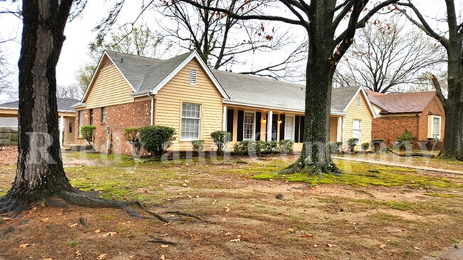 Building Photo - 6116 Live Oak Cove