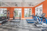 Located at 3725 Princeton Lakes Pkwy SW in Atlanta, GA, this well-appointed fitness center delivers a dynamic and motivating workout environment. The space is defined by its bold orange walls, crisp white crown molding, and an elegant coffered ceiling adorned with multiple ceiling fans that promote airflow throughout. Large, multi-pane windows line the walls on multiple sides, flooding the interior with generous natural light and offering views of the surrounding community.

The flooring features a distinctive geometric-patterned carpet that transitions to hardwood near the perimeter, adding visual interest underfoot. The cardio section is equipped with a row of treadmills, elliptical trainers, and stationary bikes—all featuring digital displays—positioned to face the expansive windows for an inspiring workout experience. The strength training area includes a multi-station cable machine, a full rack of dumbbells in graduated weights displayed on a tiered rack, a weight bench with barbell setup, and medicine balls for functional training.

Full-length mirrors along one wall visually expand the space and allow for proper form checks during exercise. A glass-paneled door connects to an adjacent area of the facility, enhancing the open and airy feel. This fitness center combines practical functionality with an energetic aesthetic, making it an inviting amenity for the Princeton Lakes community.