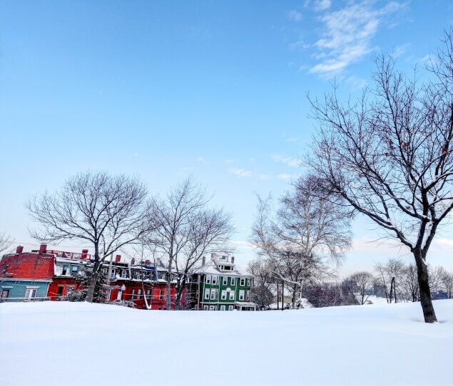 Roxbury homes on a clear winter day