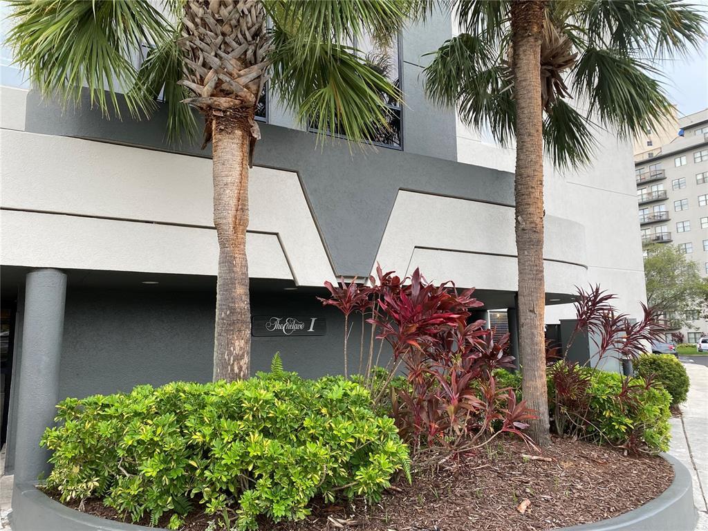 6165 Carrier Dr Unit 1105, Orlando, FL 32819 Condo for Rent in