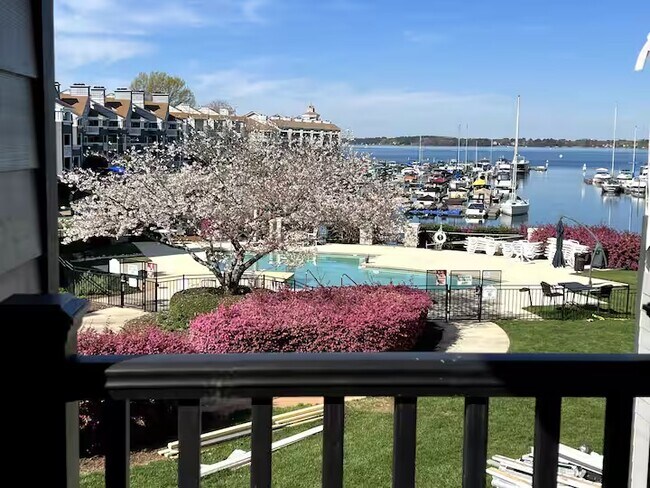 Building Photo - 18857 Vineyard Point Ln