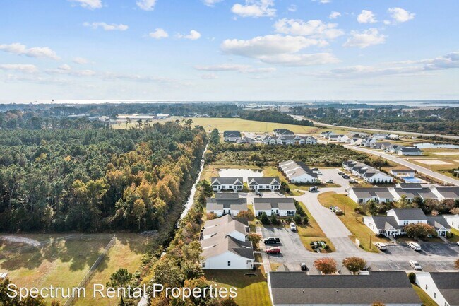 Building Photo - 2 br, 2 bath House - 802 Pirates Landing Dr