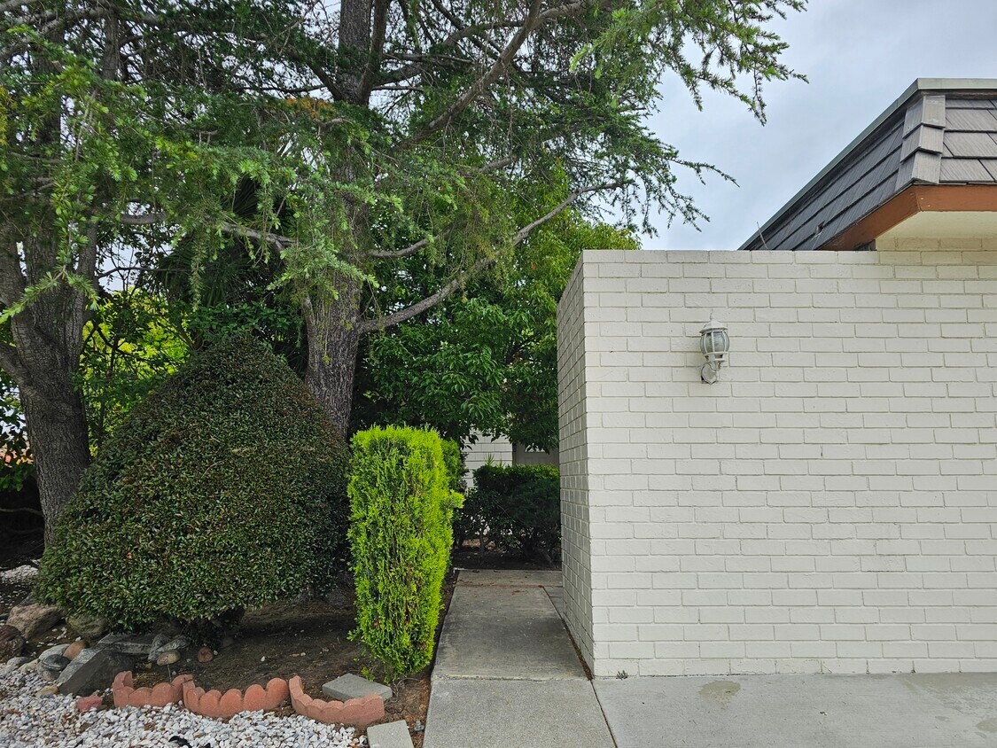 Primary Photo - 20 Norton St