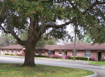 Primary Photo - Forest Glen Apartments